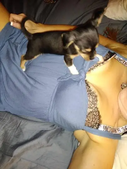 Horny Mom Looking For Sex Affairs in Boulder – Women Seeking Men photo 2