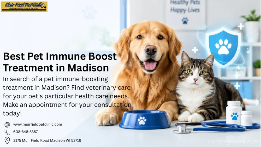 Best Pet Immune Boost Treatment in Madison Get Care in Appleton – Dogs & Puppies