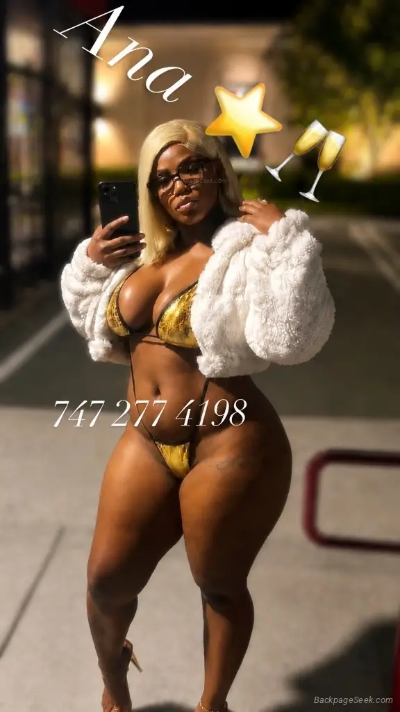 Your favorite distraction is back home