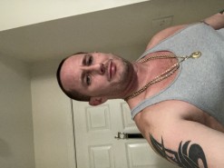 40 fit and wild