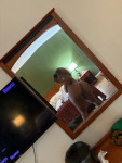 TEXT ONLY READ AD OR DONT BOTHER Catch Mii While Yu Can