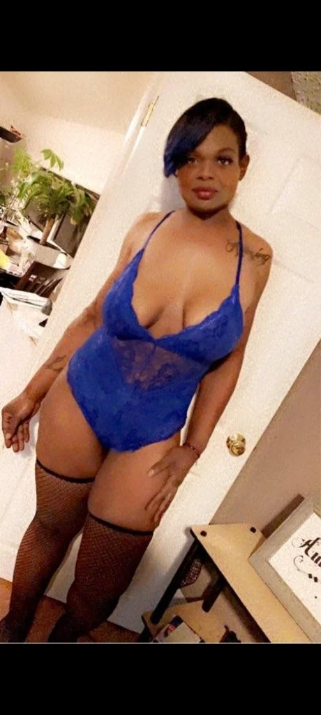Available Now Sweet & Curvy Companion Buffalo