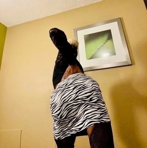 Cum Right Now Sexy Freaky Bitch Fire Head Soft Fatt Ass Warm... in Detroit – Women Seeking Men photo 6