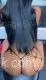 HOT GIRL in Miami – Women Seeking Men photo 3