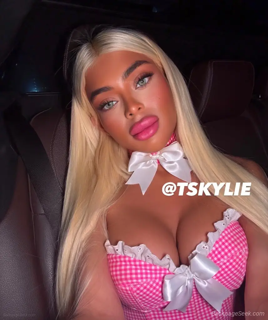 2001 HOLLYWOOD BIMBO BARBIE in Minneapolis – Women Seeking Men photo 2