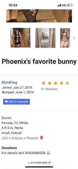 new favorite bunny in Phoenix – Women Seeking Men photo 6