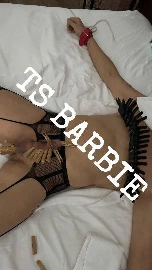HARTFORD TS Barbie BBC The Girl In The Picture Facetime Read... in Hartford – Women Seeking Men photo 5