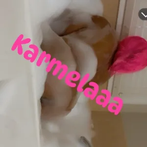 Blow My Bubbles