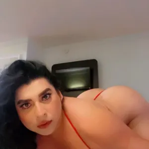 trans latina