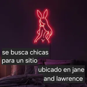 se busca chicas