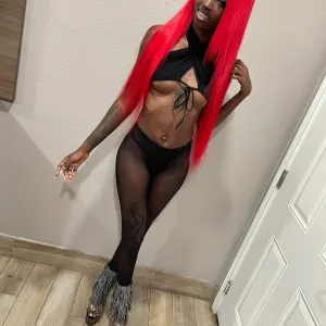 Come Explore Your Wildest Fantasies
