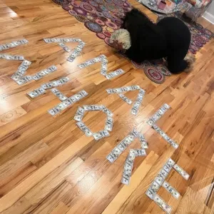 sponsored